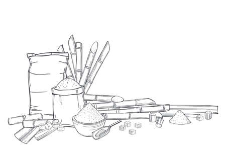 Hand drawn sugarcane and sack bags of sugar. Vector background. Sketch illustration.のイラスト素材
