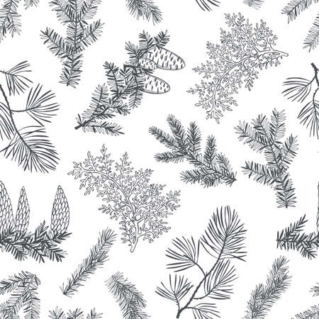 Vector seamless pattern with hand drawn branches and cones of coniferous trees. Christmas plants.