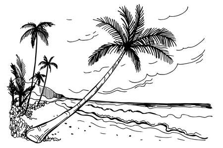 Hand drawn landscapes with palm trees. Vector sketch illustration.のイラスト素材
