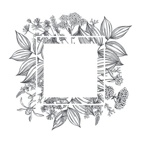 Vector frame with hand drawn medicinal herbs. Sketch illustration.のイラスト素材