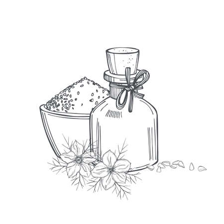 Hand-drawn black cumin oil with seeds. Vector sketch illustrationのイラスト素材