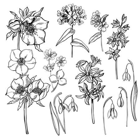 Hand-drawn spring flowers. vector sketch illustration.のイラスト素材