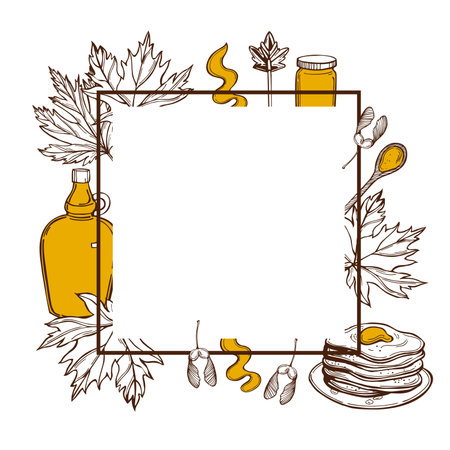 Hand-drawn maple syrup set. Acer saccharum, the sugar maple. vector frame.のイラスト素材