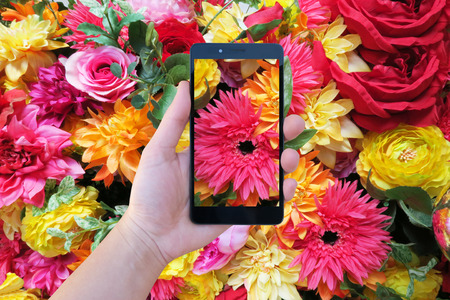 smart phone hand flower backgroundの写真素材