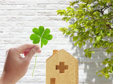 clover and discharge hospitalの写真素材