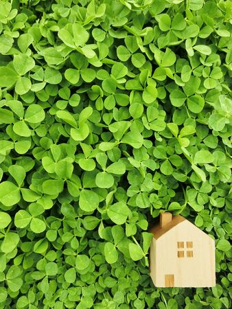 toy home clover backgroundの写真素材