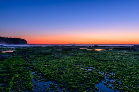 Stone with algae on Narrabeen Beach at sunrise in Sydney Australiaの写真素材