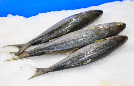 Fish at the market