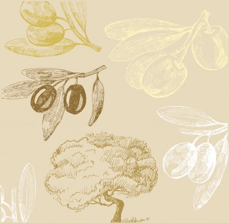Olive setのイラスト素材