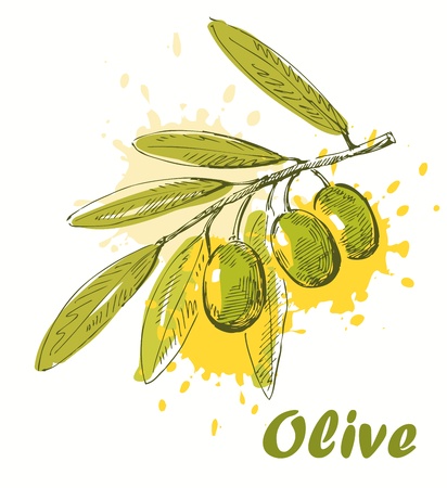oliveのイラスト素材