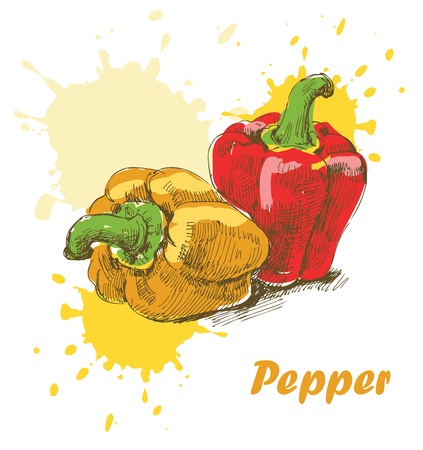 Pepper backgroundのイラスト素材
