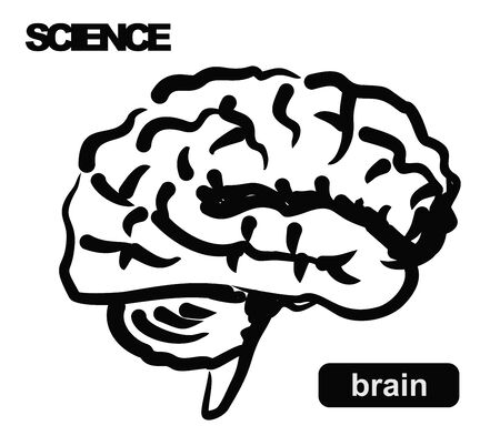 illustration of brainのイラスト素材