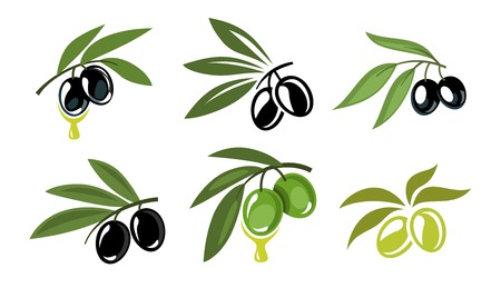 vector green and black olives icons set on whiteのイラスト素材