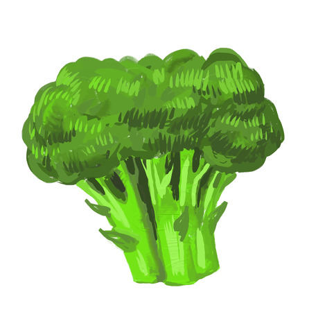 picture of broccoliのイラスト素材
