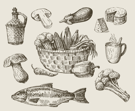 vector hand drawn food sketch and kitchen doodleのイラスト素材