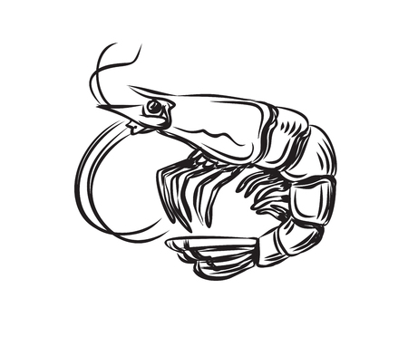 vector black prawn icon on white backgroundのイラスト素材