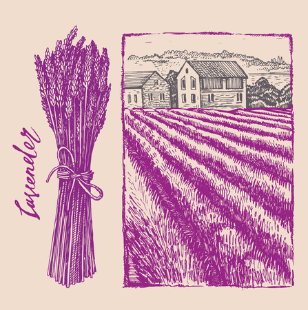 lavender bouquet with landscapeのイラスト素材