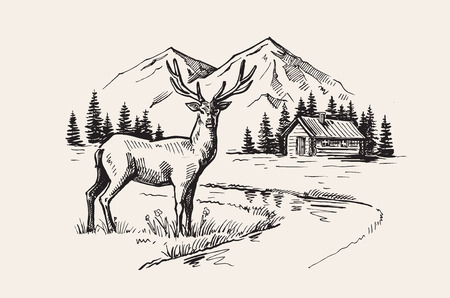 Mountain landscape vectorのイラスト素材