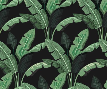 Tropical leaves palmのイラスト素材