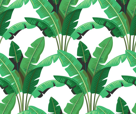 Tropical leaves palmのイラスト素材