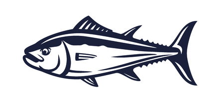 Salmon fish on whiteのイラスト素材