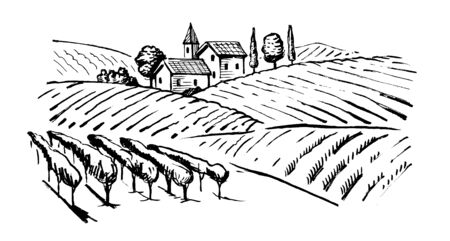 vector vintage hand drawn illustration of wineyardのイラスト素材