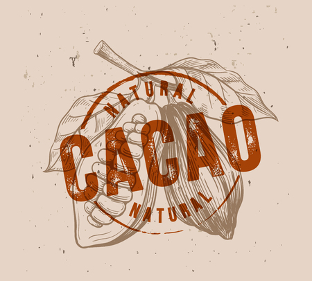 Chocolate cocoa beans with stamp vector illustrationのイラスト素材