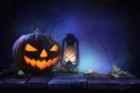 Pumpkin with dark forestの写真素材