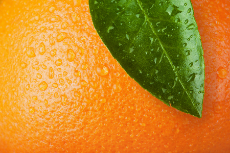 orange wiht leafの写真素材