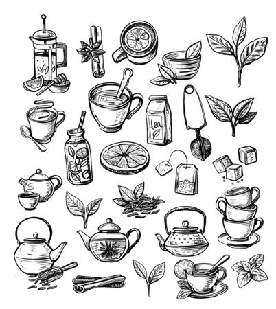 Vector collection of hand drawn tea simple illustration.のイラスト素材