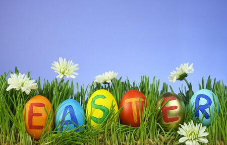 different colored easter eggs lie in grass
