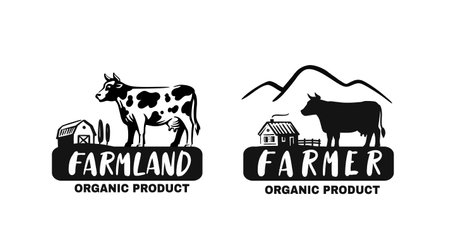 cow in black color with textのイラスト素材