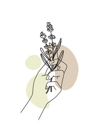 Female hands with lavender and abstract background. Background for cosmetics, packaging, productsのイラスト素材