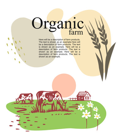 Cow chewing grass background of farm. Village templateのイラスト素材