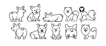 Dogs corgi and spitz big set. Cute dogs in different poses in lineのイラスト素材
