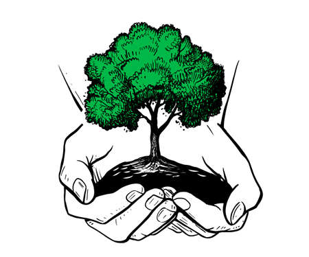Hands holding tree. Ecologic safe sign concept. Sketch eco plantのイラスト素材