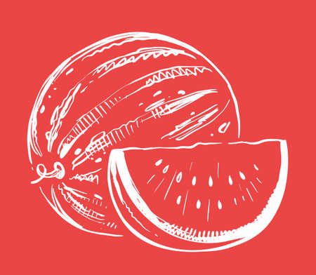 Hand drawn vector watermelon on color backgroundのイラスト素材
