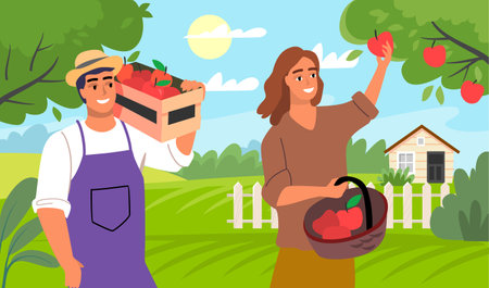 Men and women farmers picking apples. Summertime farming gardenのイラスト素材
