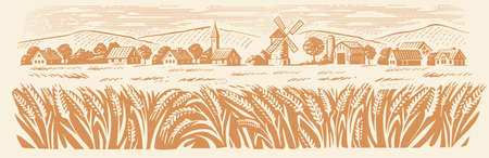 Wheat Organic Farming landscape. Farm and Fields with Harvestのイラスト素材