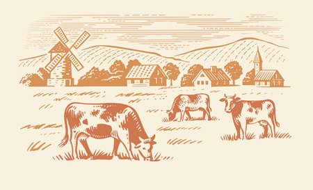 Cows grazing on meadow. Hand drawn sketch livestock with grass and plantsのイラスト素材