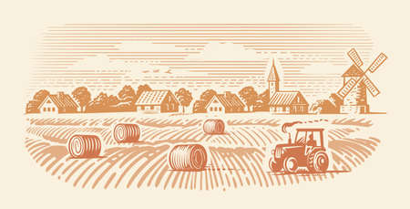 Field with haystacks. Farming landscape with tractorのイラスト素材