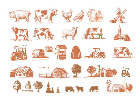 Village big set drawing vector. Hand drawn livestockのイラスト素材