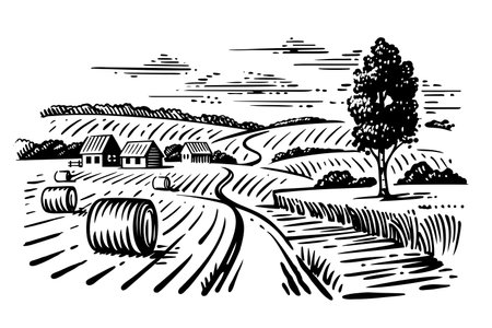 Village houses sketch and nature. Rural landscape countrysideのイラスト素材