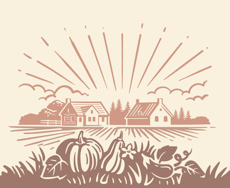 Pumpkin harvest landscape. Autumn Harvestのイラスト素材