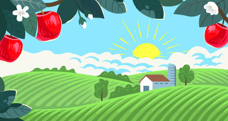 Apple tree and barn. Farm field. Summer landscapeのイラスト素材
