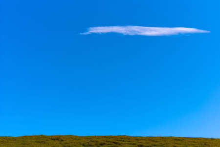 meadow against a blue sky with a cloud