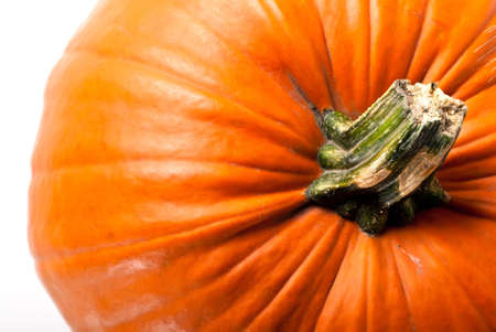 orange pumpkin with copy space on the leftの写真素材