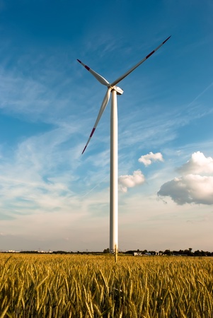 a wind turbine in the grain-field in front of blue sky