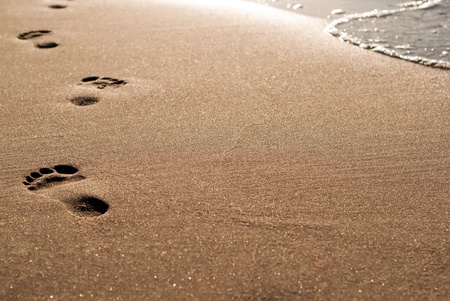 foot-pure in the sand lead along the waterの写真素材