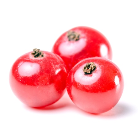 several red currants isolated before white backgroundの写真素材